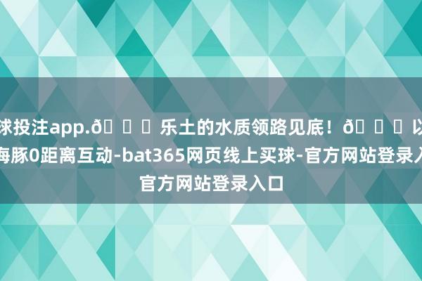 足球投注app.🌊乐土的水质领路见底！🉑以与小海豚0距离互动-bat365网页线上买球-官方网站登录入口