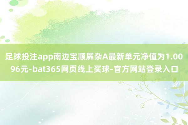 足球投注app南边宝顺羼杂A最新单元净值为1.0096元-bat365网页线上买球-官方网站登录入口