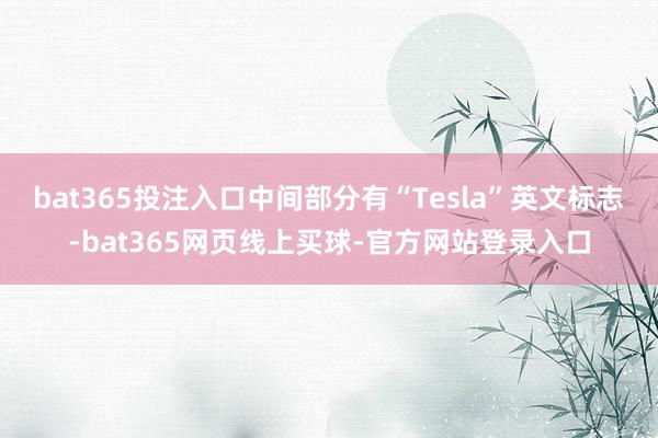 bat365投注入口中间部分有“Tesla”英文标志-bat365网页线上买球-官方网站登录入口